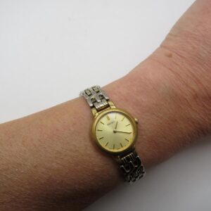 p1 3367.jpg